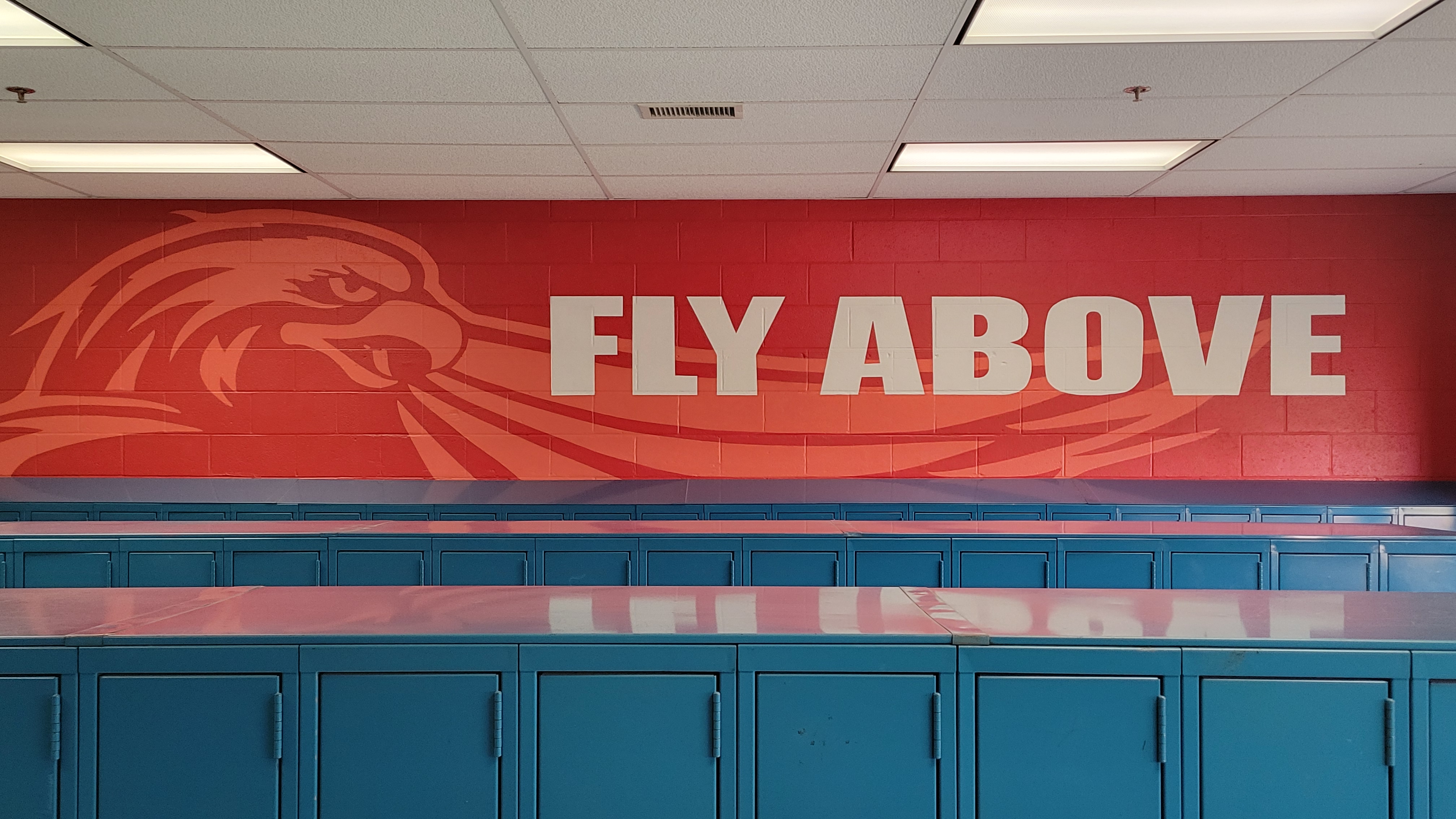 fly above mural above lockers